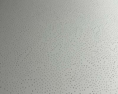 Armstrong lubų plokštės